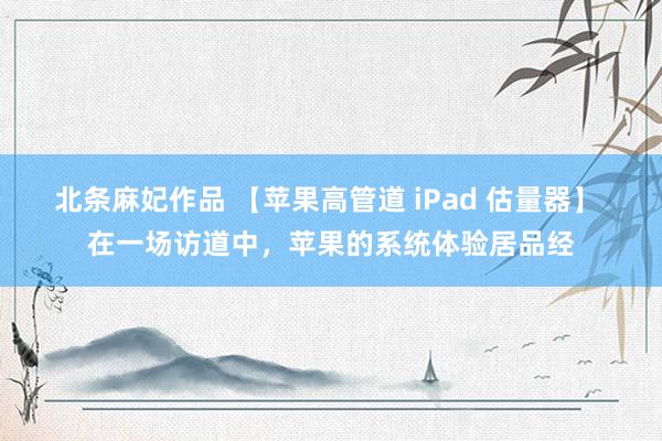 北条麻妃作品 【苹果高管道 iPad 估量器】 在一场访道中，苹果的系统体验居品经