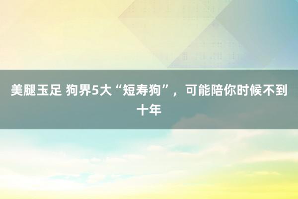 美腿玉足 狗界5大“短寿狗”，可能陪你时候不到十年