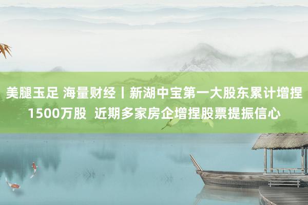 美腿玉足 海量财经丨新湖中宝第一大股东累计增捏1500万股  近期多家房企增捏股票提振信心