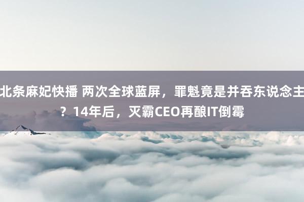 北条麻妃快播 两次全球蓝屏，罪魁竟是并吞东说念主？14年后，灭霸CEO再酿IT倒霉