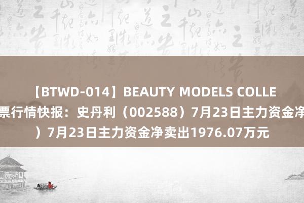 【BTWD-014】BEAUTY MODELS COLLECTION 2 4時間 股票行情快报：史丹利（002588）7月23日主力资金净卖出1976.07万元