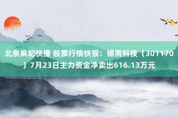 北条麻妃快播 股票行情快报：锡南科技（301170）7月23日主力资金净卖出616.13万元