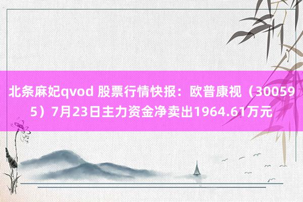 北条麻妃qvod 股票行情快报：欧普康视（300595）7月23日主力资金净卖出1964.61万元