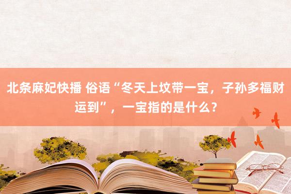 北条麻妃快播 俗语“冬天上坟带一宝，子孙多福财运到”，一宝指的是什么？