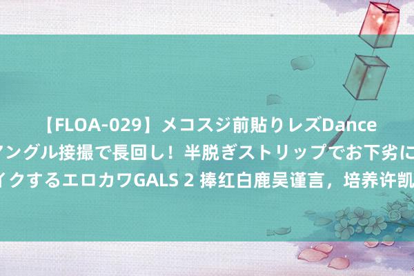 【FLOA-029】メコスジ前貼りレズDance オマ○コ喰い込みをローアングル接撮で長回し！半脱ぎストリップでお下劣にケツをシェイクするエロカワGALS 2 捧红白鹿吴谨言，培养许凯王星越，于正的“造星时候”究竟有多牛