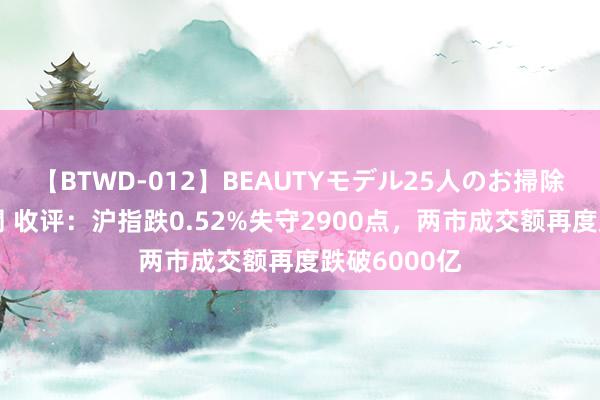 【BTWD-012】BEAUTYモデル25人のお掃除フェラ4時間 收评：沪指跌0.52%失守2900点，两市成交额再度跌破6000亿