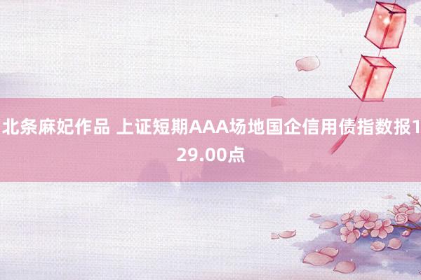 北条麻妃作品 上证短期AAA场地国企信用债指数报129.00点