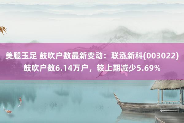 美腿玉足 鼓吹户数最新变动：联泓新科(003022)鼓吹户数6.14万户，较上期减少5.69%