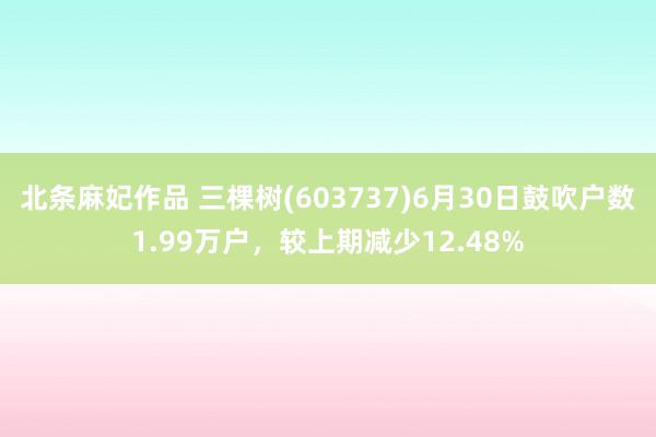 北条麻妃作品 三棵树(603737)6月30日鼓吹户数1.99万户，较上期减少12.48%