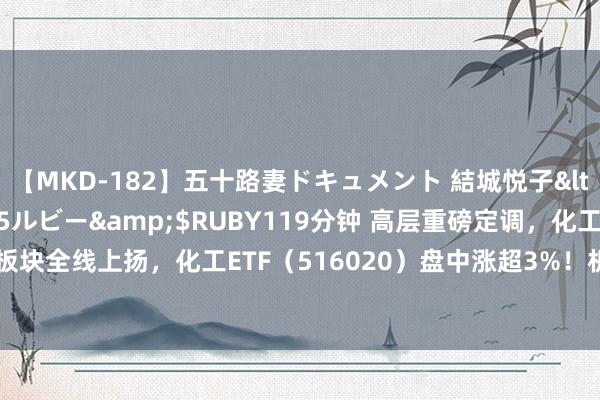 【MKD-182】五十路妻ドキュメント 結城悦子</a>2017-10-15ルビー&$RUBY119分钟 高层重磅定调，化工板块全线上扬，化工ETF（516020）盘中涨超3%！机构：看好下半年化工行业景气上行