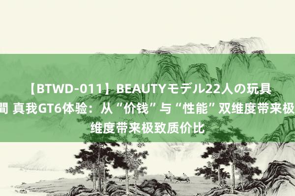 【BTWD-011】BEAUTYモデル22人の玩具責め4時間 真我GT6体验：从“价钱”与“性能”双维度带来极致质价比