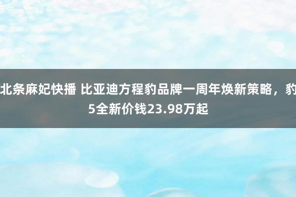 北条麻妃快播 比亚迪方程豹品牌一周年焕新策略，豹5全新价钱23.98万起