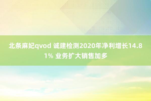 北条麻妃qvod 诚建检测2020年净利增长14.81% 业务扩大销售加多