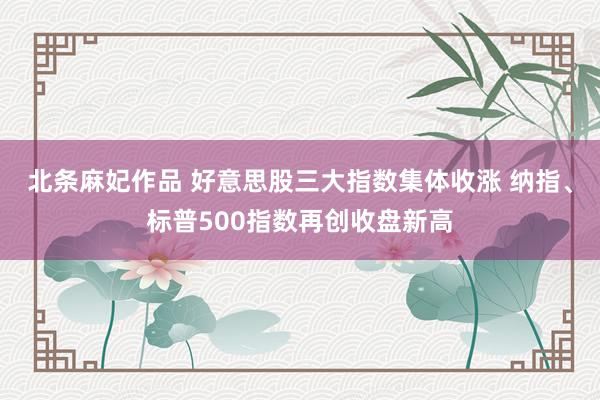 北条麻妃作品 好意思股三大指数集体收涨 纳指、标普500指数再创收盘新高