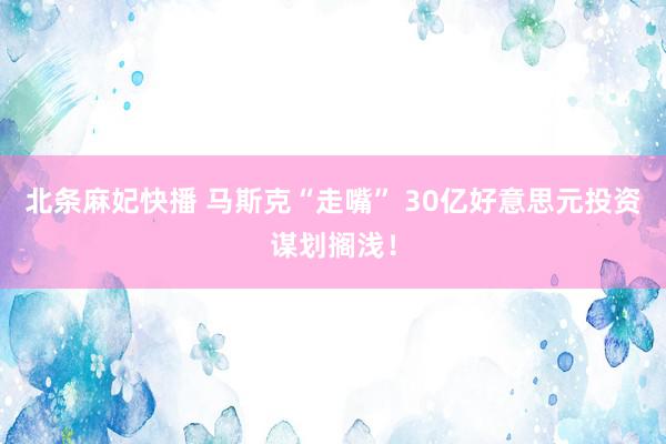 北条麻妃快播 马斯克“走嘴” 30亿好意思元投资谋划搁浅！