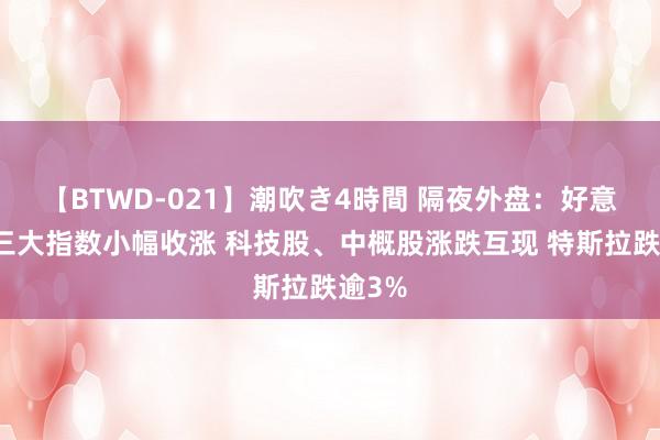 【BTWD-021】潮吹き4時間 隔夜外盘：好意思股三大指数小幅收涨 科技股、中概股涨跌互现 特斯拉跌逾3%