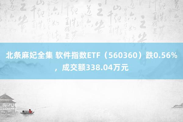 北条麻妃全集 软件指数ETF（560360）跌0.56%，成交额338.04万元