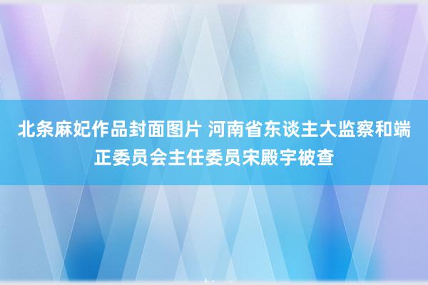 北条麻妃作品封面图片 河南省东谈主大监察和端正委员会主任委员宋殿宇被查