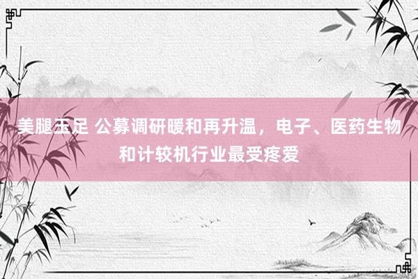 美腿玉足 公募调研暖和再升温，电子、医药生物和计较机行业最受疼爱