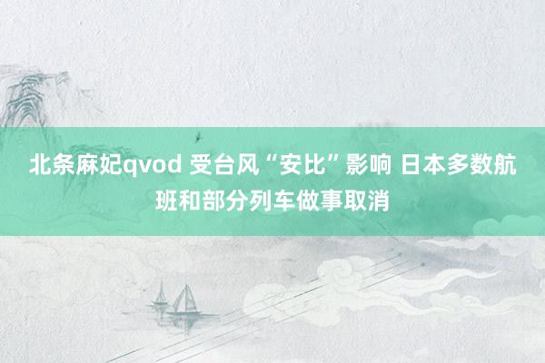 北条麻妃qvod 受台风“安比”影响 日本多数航班和部分列车做事取消