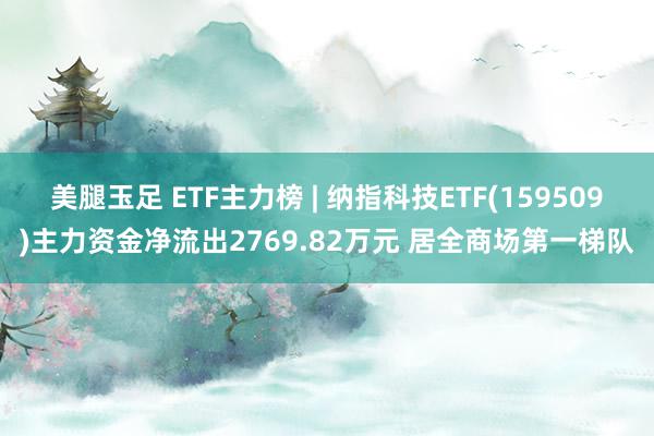 美腿玉足 ETF主力榜 | 纳指科技ETF(159509)主力资金净流出2769.82万元 居全商场第一梯队