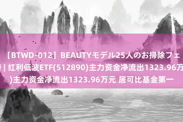 【BTWD-012】BEAUTYモデル25人のお掃除フェラ4時間 ETF主力榜 | 红利低波ETF(512890)主力资金净流出1323.96万元 居可比基金第一