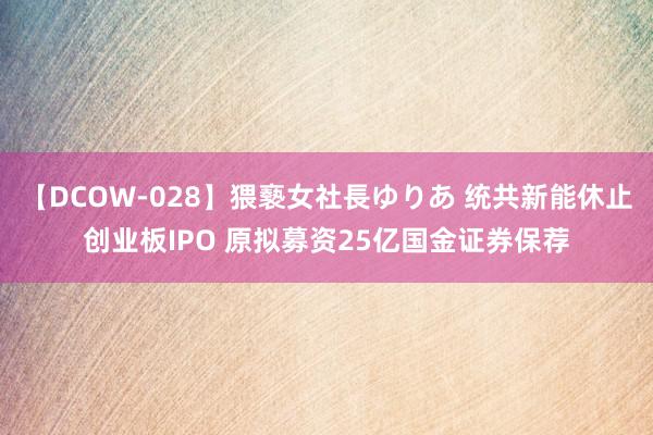 【DCOW-028】猥褻女社長ゆりあ 统共新能休止创业板IPO 原拟募资25亿国金证券保荐