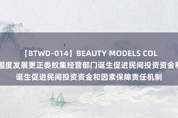 【BTWD-014】BEAUTY MODELS COLLECTION 2 4時間 国度发展更正委蚁集经营部门诞生促进民间投资资金和因素保障责任机制