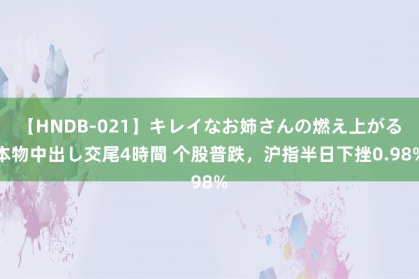 【HNDB-021】キレイなお姉さんの燃え上がる本物中出し交尾4時間 个股普跌，沪指半日下挫0.98%