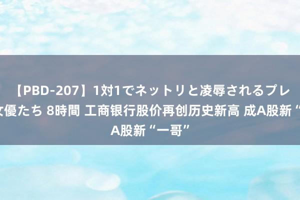 【PBD-207】1対1でネットリと凌辱されるプレミア女優たち 8時間 工商银行股价再创历史新高 成A股新“一哥”