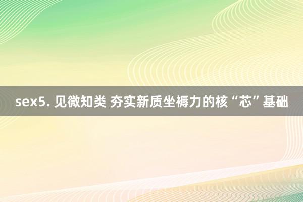 sex5. 见微知类 夯实新质坐褥力的核“芯”基础