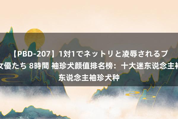 【PBD-207】1対1でネットリと凌辱されるプレミア女優たち 8時間 袖珍犬颜值排名榜：十大迷东说念主袖珍犬种