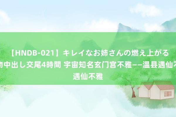 【HNDB-021】キレイなお姉さんの燃え上がる本物中出し交尾4時間 宇宙知名玄门宫不雅——温县遇仙不雅