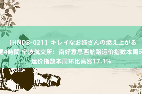 【HNDB-021】キレイなお姉さんの燃え上がる本物中出し交尾4時間 宁波航交所：南好意思西航路运价指数本周环比高涨17.1%