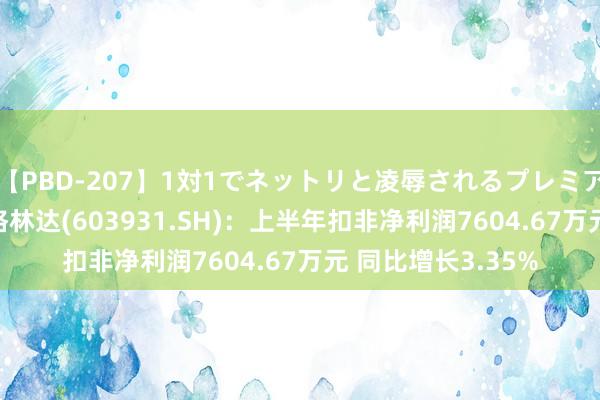 【PBD-207】1対1でネットリと凌辱されるプレミア女優たち 8時間 格林达(603931.SH)：上半年扣非净利润7604.67万元 同比增长3.35%