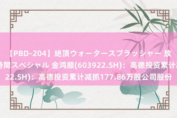 【PBD-204】絶頂ウォータースプラッシャー 放尿＆潮吹き大噴射8時間スペシャル 金鸿顺(603922.SH)：高德投资累计减抓177.86万股公司股份