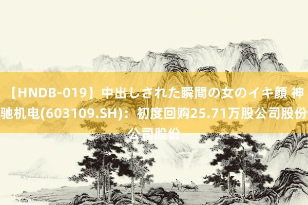 【HNDB-019】中出しされた瞬間の女のイキ顔 神驰机电(603109.SH)：初度回购25.71万股公司股份