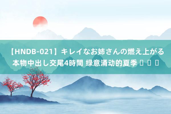 【HNDB-021】キレイなお姉さんの燃え上がる本物中出し交尾4時間 绿意涌动的夏季 ​​​